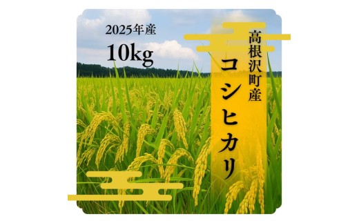 高根沢町産コシヒカリ（精米）10kg※離島への配送不可※2025年9月中旬頃～12月下旬頃に順次発送予定