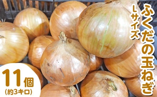 ふくだの玉ねぎ Lサイズ 11個（約3kg） ※北海道・沖縄・離島への配送不可 ※2026年1月中旬～1月下旬頃に順次発送予定
