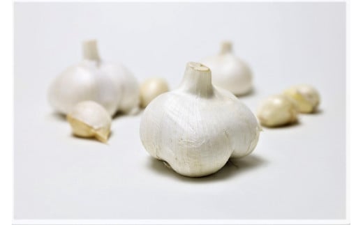 【A-142】生ジャンボにんにく1kg 食品  野菜 きのこ  にんにく 15000円