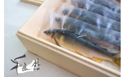 【D-16】和良鮎（冷凍大きめサイズ7～8匹入り） 食品  魚介類 水産加工品  その他水産物  アユ 50000円