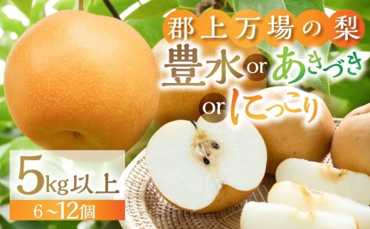 郡上大和の梨 令和7年産 【9月中旬～12月上旬発送】豊水 あきづき にっこり 品種お任せ/ 食品 フルーツ 果物 和梨 梨 なし ナシ 15000円 G0086