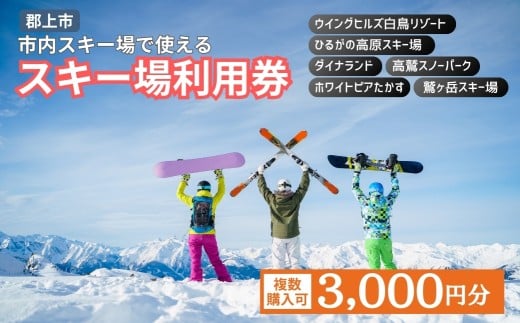 岐阜県郡上市 市内スキー場利用券 3000円分 2025-2026 高鷲・白鳥エリア利用可 ダイナランド・高鷲・鷲ヶ岳・白鳥・ひるがの・ホワイトピア 対応 チケット あとから選べる リフト券 シーズン券 スポーツ その他 10000円