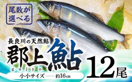 【尾数が選べる】郡上鮎 長良川の天然鮎 小小サイズ(約16ｃｍ) 12尾 / 食品 魚介類 水産加工品 その他水産物 鮎 アユ 15000円 G0074c