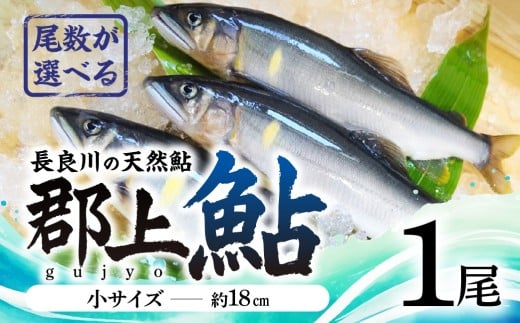 【尾数が選べる】郡上鮎 長良川の天然鮎 小サイズ(約18ｃｍ) 1尾 / 食品 魚介類 水産加工品 その他水産物 鮎 アユ 5000円 G0075a