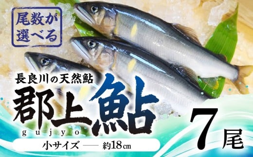 【尾数が選べる】郡上鮎 長良川の天然鮎 小サイズ(約18ｃｍ) 7尾/ 食品 魚介類 水産加工品 その他水産物 鮎 アユ 10000円 G0075b