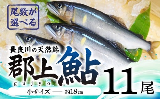 【尾数が選べる】郡上鮎 長良川の天然鮎 小サイズ(約18ｃｍ) 11尾/ 食品 魚介類 水産加工品 その他水産物 鮎 アユ 15000円 G0075c