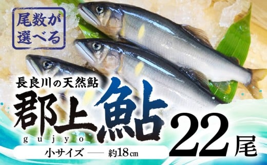 【尾数が選べる】郡上鮎 長良川の天然鮎 小サイズ(約18ｃｍ) 22尾/ 食品 魚介類 水産加工品 その他水産物 鮎 アユ 30000円 G0075e