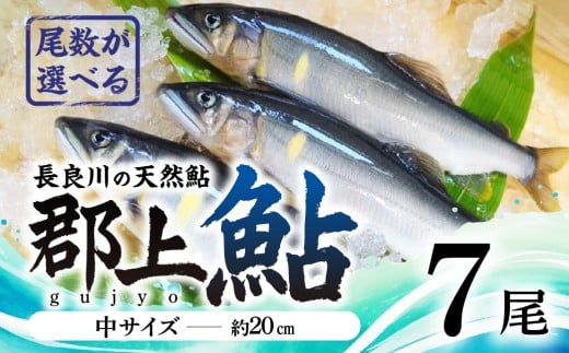 【尾数が選べる】郡上鮎 長良川の天然鮎 中サイズ(約20ｃｍ) 7尾 / 食品 魚介類 水産加工品 その他水産物 鮎 アユ 15000円 G0076b
