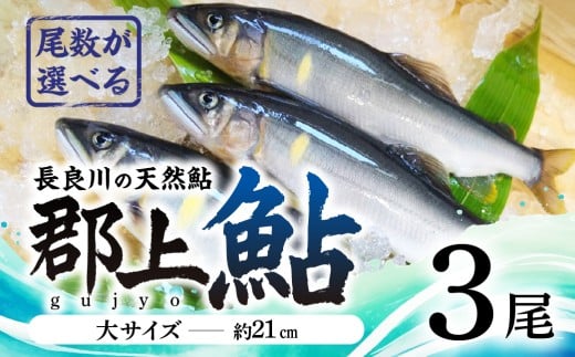 【尾数が選べる】郡上鮎 長良川の天然鮎 大サイズ(約21ｃｍ) 3尾 / 食品 魚介類 水産加工品 その他水産物 鮎 アユ 10000円 G0077a