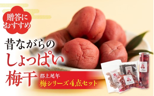 【A-21】郡上延年梅シリーズ４点セット 暑さ 対策 食品  漬物 梅干し キムチ  梅干し  しそ梅 10000円