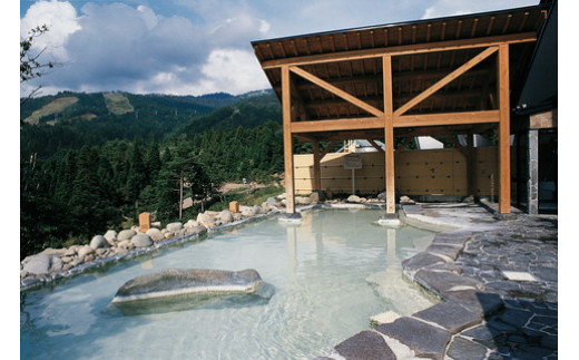 【A-45】市内共通温泉利用券（3枚） カタログギフト チケット  金券  施設利用券  その他 10000円