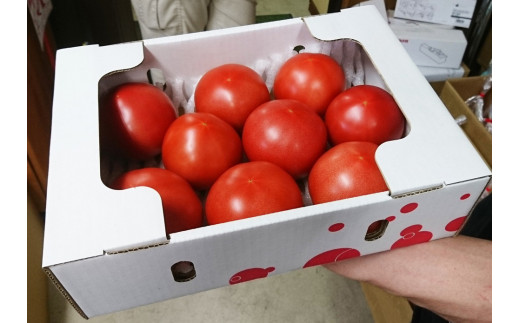 【G0034】完熟いとしろトマト麗夏　1.5kg入り2箱［期間限定］受付9月26日まで 食品  野菜 きのこ  トマト 10000円