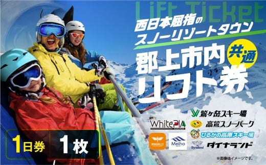 郡上市内スキー場リフト1日券(1枚) カタログギフト チケット  その他 20000円 G0134a