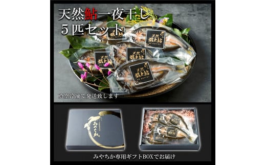 【G0150】天然鮎専門店みやちかの【天然鮎一夜干し】長良川郡上鮎　5匹