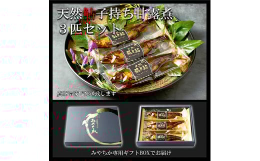 【G0151】天然鮎専門店みやちかの【天然鮎子持ち甘露煮】長良川郡上鮎　3匹