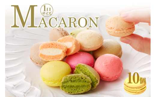 マカロン10個入（10種類）