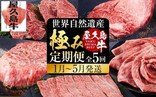 【定期便 全5回】【屋久島牛】世界自然遺産極み定期便<1月~5月発送>