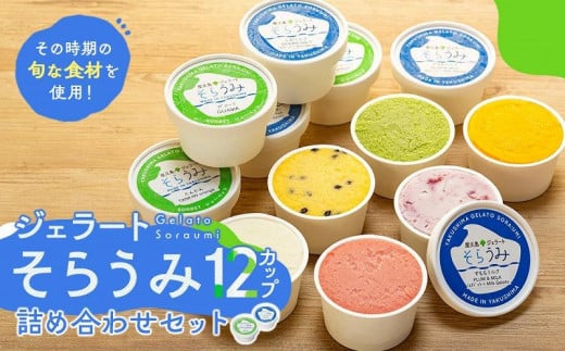手作り ジェラート 12カップ 詰め合わせ セット<屋久島産の新鮮食材を使用>