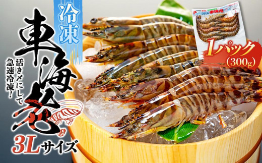 鹿児島県産 活き〆冷凍 車海老(養殖)3Lサイズ 300g(7~9尾)1パック セット