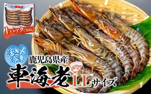 鹿児島県産 活き〆冷凍 車海老(養殖)LLサイズ 300g(10~12尾)1パック セット