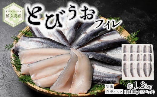 【2025年4月以降発送予定】屋久島産 とびうお フィレ 約1200g(約100g×12パック)冷凍 真空パック