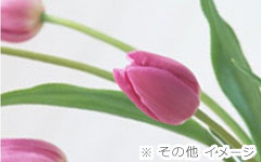 ⑥新しい未来をつくるまちづくり事業