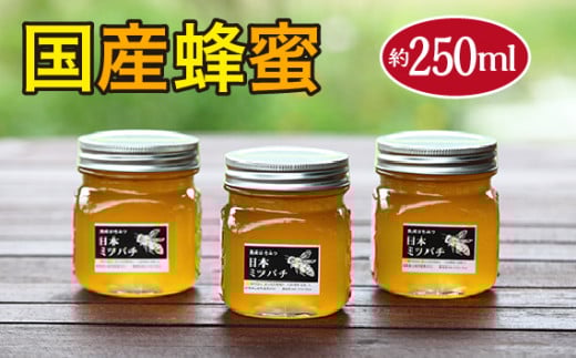 国産蜂蜜　約250ml [No.351] ／ はちみつ 無添加 酵素 岐阜県