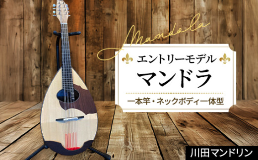 【エントリ―モデル】マンドラ [No.289] ／ 楽器 岐阜県 特産品