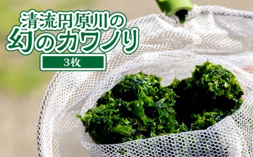 清流円原川の幻のカワノリ【3枚】 [No.498] ／ 川海苔 希少 天然ノリ 岐阜県