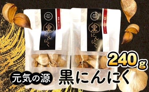 元気の源　黒にんにく　240g [No.672] ／ ニンニク 大蒜 長期熟成 大粒 岐阜県 特産品