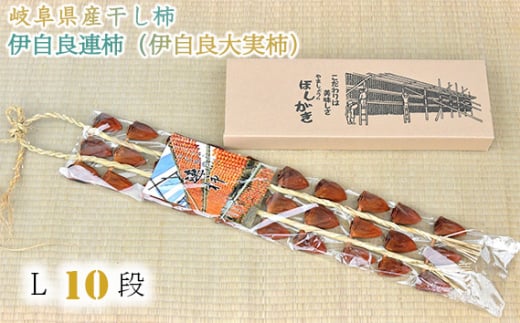 岐阜県産干し柿 伊自良連柿（伊自良大実柿）L 10段 約1.25kg [No.726] ／ 干柿 カキ しっとり 岐阜県 特産品