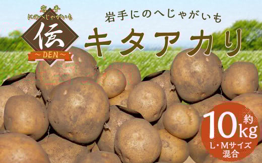 【厳選品】岩手にのへじゃがいも「伝」キタアカリ (L・Mサイズ混合)  10kg 【2025年9月中旬から2026年2月下旬発送予定】/ジャガイモ じゃがいも 芋 イモ ポテト 野菜 お取り寄せ 農家 産地直送