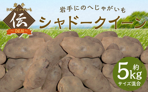 【厳選品】岩手にのへじゃがいも「伝」シャドークイーン(サイズ混合) 5kg 【2025年9月中旬から2026年2月下旬発送予定】/ジャガイモ じゃがいも 芋 イモ  ポテト 野菜 お取り寄せ 農家 産地直送
