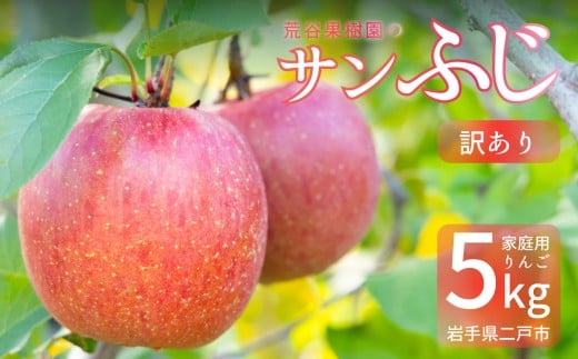 【訳あり】 サンふじ 約5kg 家庭用/わけあり りんご リンゴ フルーツ 果物 岩手 【2025年12月発送予定】