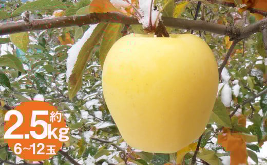 二戸産りんご はるか 約2.5kg （6～12玉）／りんご リンゴ 林檎 フルーツ 果物 旬 お取り寄せ 【2025年12月発送予定】