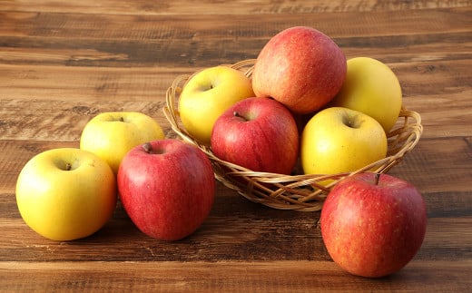 二戸産りんご サンふじ＆シナノゴールド 約3kg (9～11玉) ／りんご リンゴ 林檎 フルーツ 果物 旬 お取り寄せ 食べ比べ  【2025年12月発送予定】