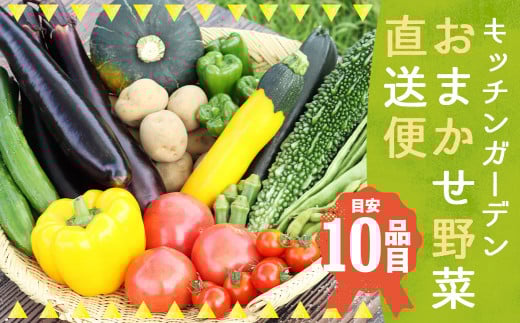 キッチンガーデンおまかせ野菜直送便/農家 野菜 サラダ 産地直送 旬 季節野菜 いろいろ 詰め合わせ 国産 冷蔵