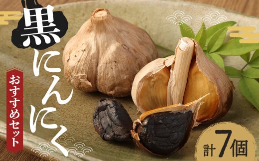 SEiKOH農苑　清孝さんの黒にんにく おすすめセット／ニンニク 大蒜 国産 100日熟成 健康 美容  約524ｇ パック入り