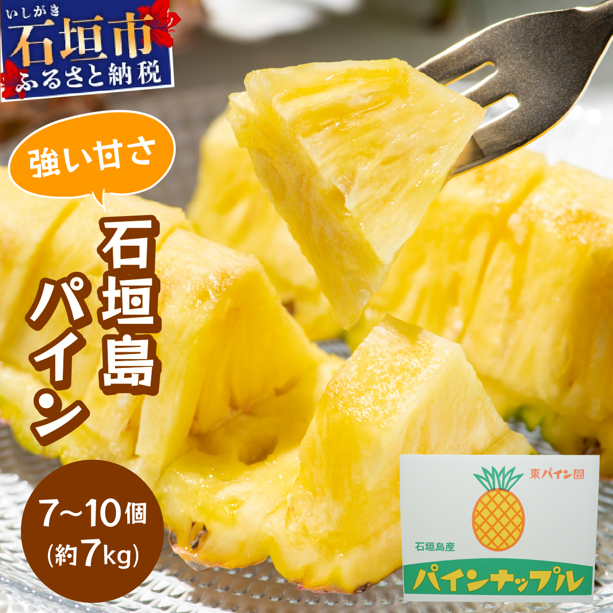 石垣島パイン 7~10個 約7kg ハワイ種 [6月中旬頃より順次発送予定]PE-01