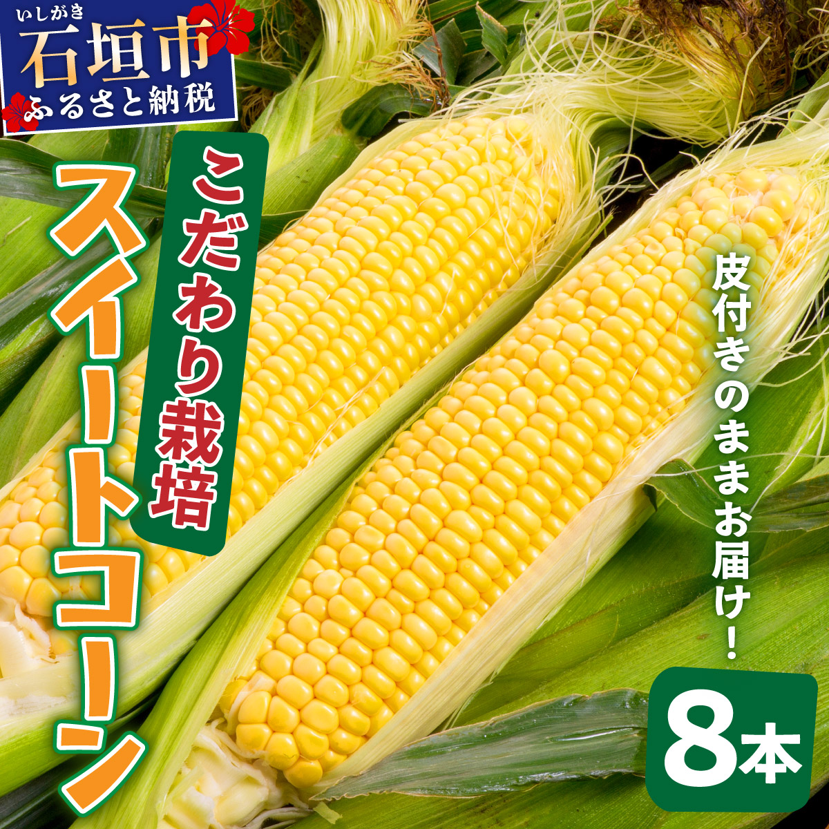 【先行予約2025年12月-2026年4月】 1番遅くて1番早い_ 朝採れプレミアムスイートコーンを皮付きのまま８本お届け！！