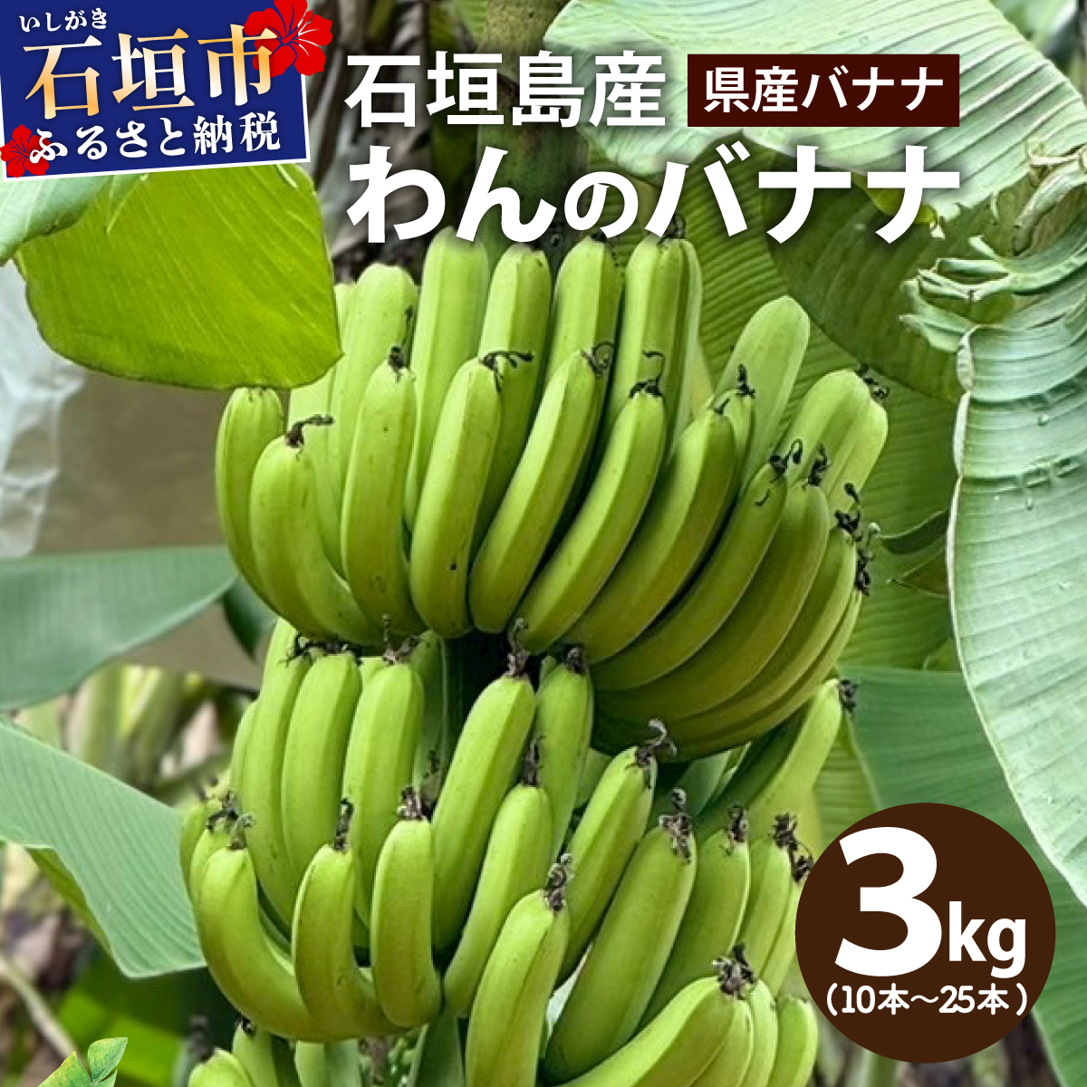 ＜わんのバナナ＞石垣島産バナナ【沖縄県産バナナ】約3kg NA-06