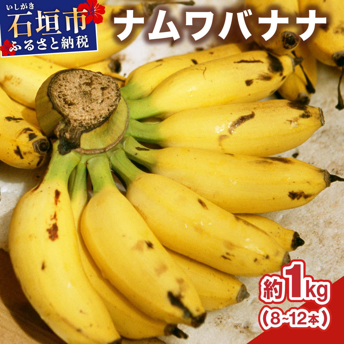 ≪2026年4～10月順次発送≫ 石垣島産 希少な国産『ナムワバナナ』を贅沢に1房丸ごと約1kg（8-12本） | 沖縄 石垣 バナナ フルーツ 果物 南国フルーツ 国産 TF-101_R8