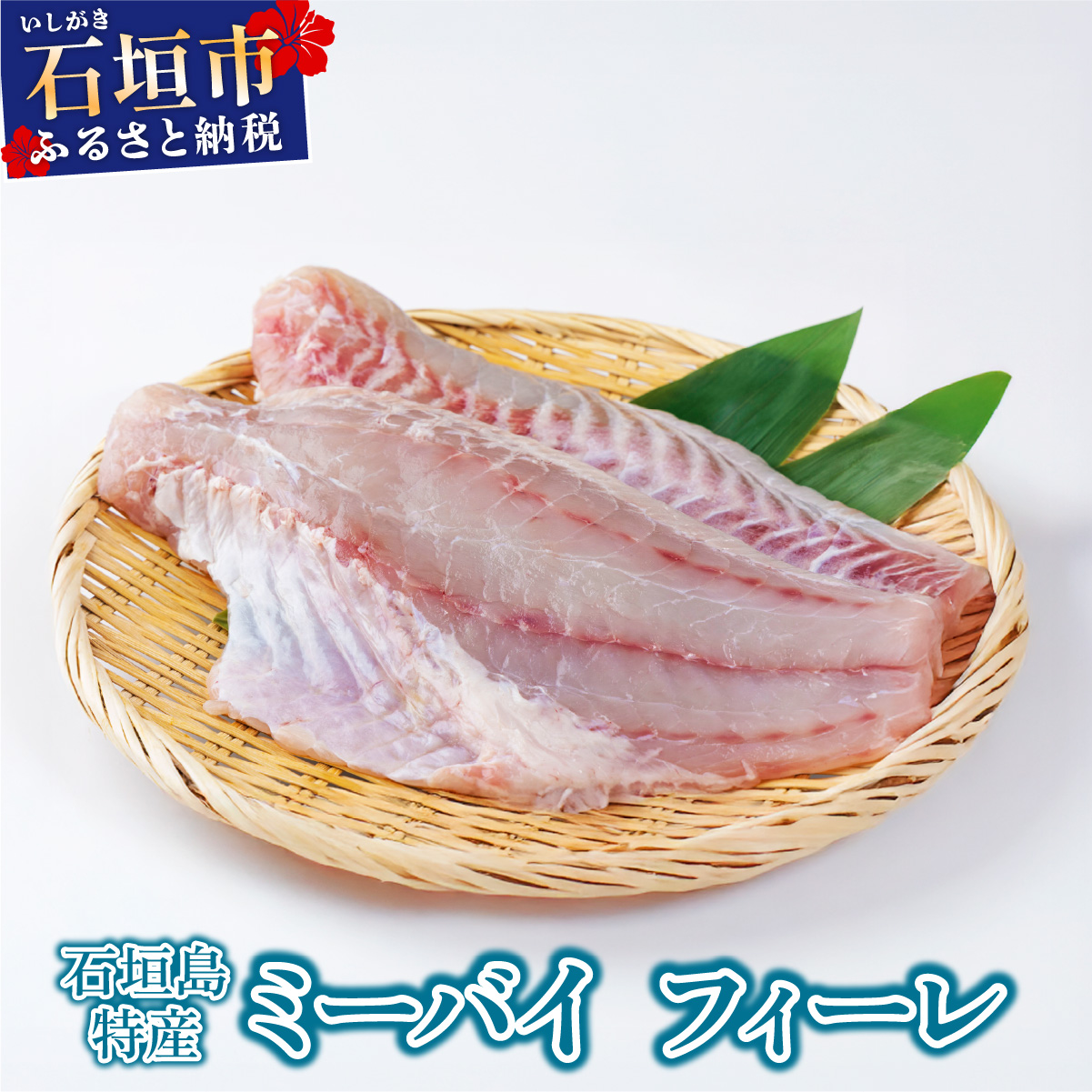 石垣島特産ミーバイ（ヤイトハタ）フィーレ KS-14