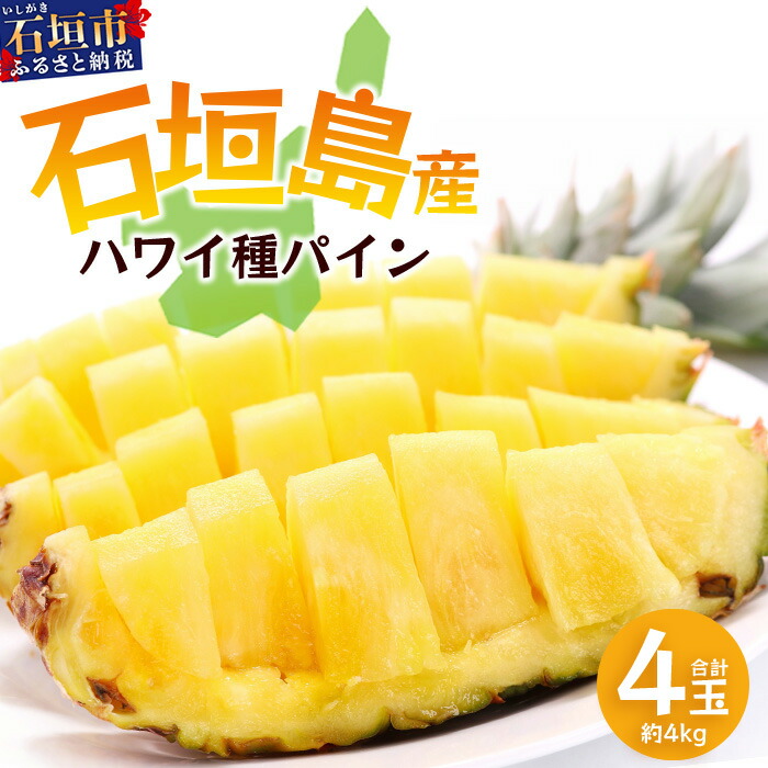 【先行予約】《2026年6月上旬頃より順次発送》石垣島産 ハワイ種 パイン (4玉 約4kg) 【 産地直送 沖縄 石垣 パイナップル フルーツ 】石垣さんちの石垣トロピカルファーム TP-5