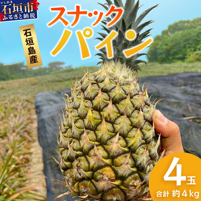【先行予約】《2026年5月上旬頃より順次発送》石垣島産 スナックパイン (4玉 約4kg)【 産地直送 沖縄 石垣 パイナップル パイン スナック フルーツ トロピカル 南国 】 TP-8-1