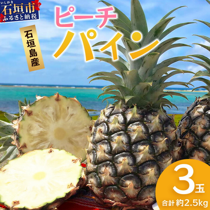 【先行予約】《2026年5月上旬頃より順次発送》石垣島産 ピーチパイン (3玉 約2.5kg) 【 産地直送 沖縄 石垣 パイナップル フルーツ 】石垣さんちの石垣トロピカルファーム TP-10