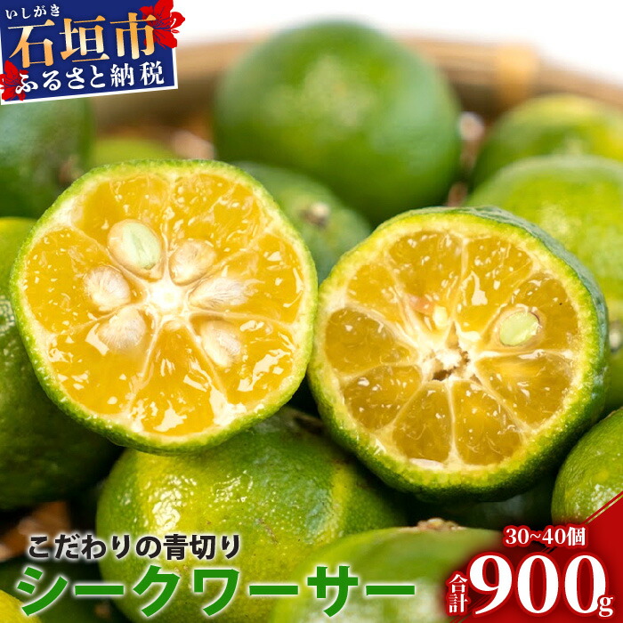 【先行予約】 ≪2026年8月以降順次発送≫ こだわりの青切りシークワーサー 900g 約30~40個 【 産地直送 沖縄 石垣島 石垣 八重山 シークワーサー 柑橘 フルーツ くだもの 果物 】TF-007