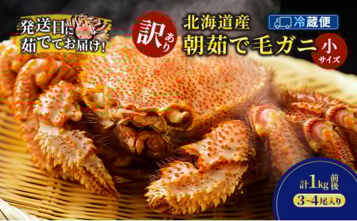 ［冷蔵便］茹でたて直送！【訳あり】北海道産 朝茹で 毛ガニ 小サイズ 計1kg前後（3-4尾入り）【 かに カニ 蟹 毛ガニ 毛蟹 海鮮 魚介 海の幸 海産物 家庭用 冷蔵 北海道 十勝 幕別 】[№5749-1737]