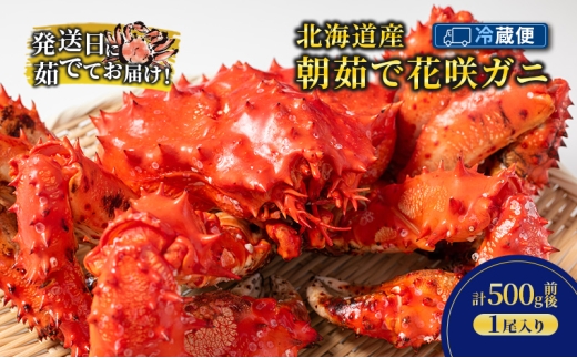 ［冷蔵便］茹でたて直送！北海道産 朝茹で 花咲ガニ 約500g×1尾【 かに カニ 蟹 花咲ガニ 花咲蟹 海鮮 魚介 海の幸 海産物 家庭用 冷蔵 北海道 十勝 幕別 】 [№5749-1740]