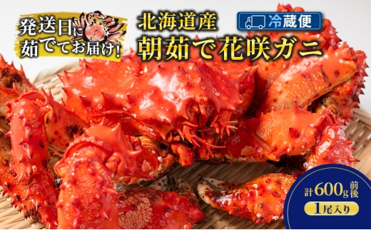 ［冷蔵便］茹でたて直送！北海道産 朝茹で 花咲ガニ 約600g×1尾【 かに カニ 蟹 花咲ガニ 花咲蟹 海鮮 魚介 海の幸 海産物 家庭用 冷蔵 北海道 十勝 幕別 】 [№5749-1743]